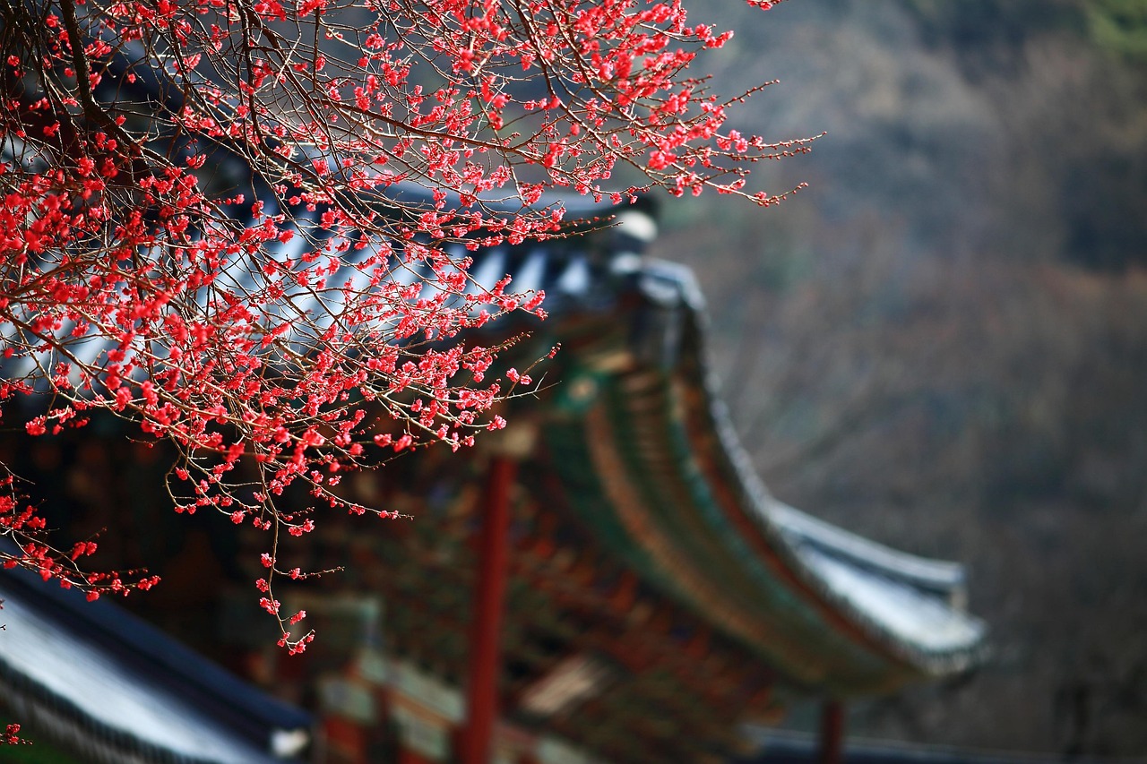 Carbide Cutting Manufacturers in Korea – Cogotool’s Role